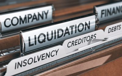 Navigating Complexities: Strategies for Resolving Disputes Arising from Master of the High Court Decisions in Liquidation Proceedings