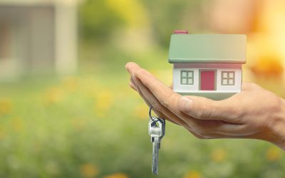 Navigating the Property Transfer Journey