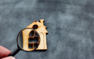 Navigating the Voetstoots Clause: Balancing Seller Protection and Buyer Transparency