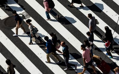 B-BBEE Compliance: Benefits and Strategies for Small Businesses