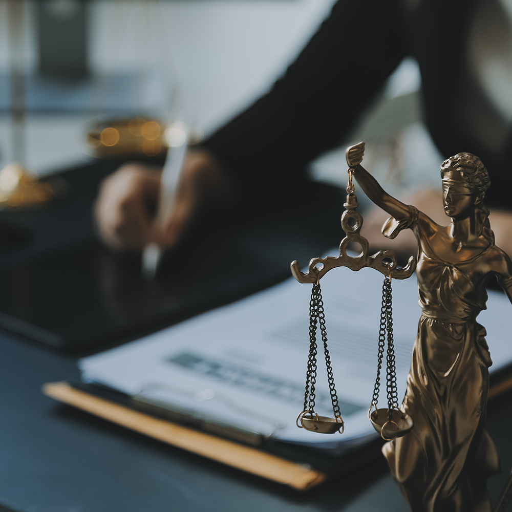 law firm johannesburg v1